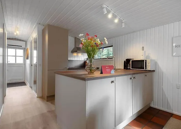 Bv384-blavand-hedevej-47 *